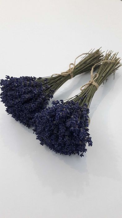 Букет з лаванди фіолетового кольору сухоцвіт