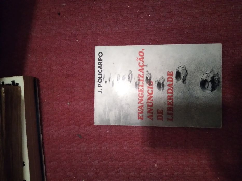 P. Alberto Teixeira de Carvalho, Contos missionários