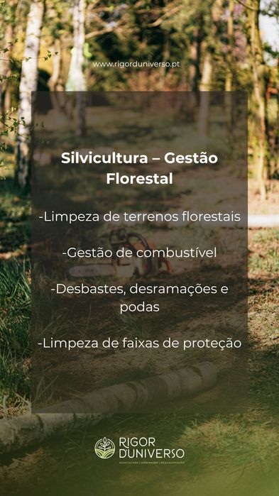 RIGOR D'UNIVERSO - Limpeza de Terrenos - Corte de Mato - Prevenção de Incêndios | Norte Portugal