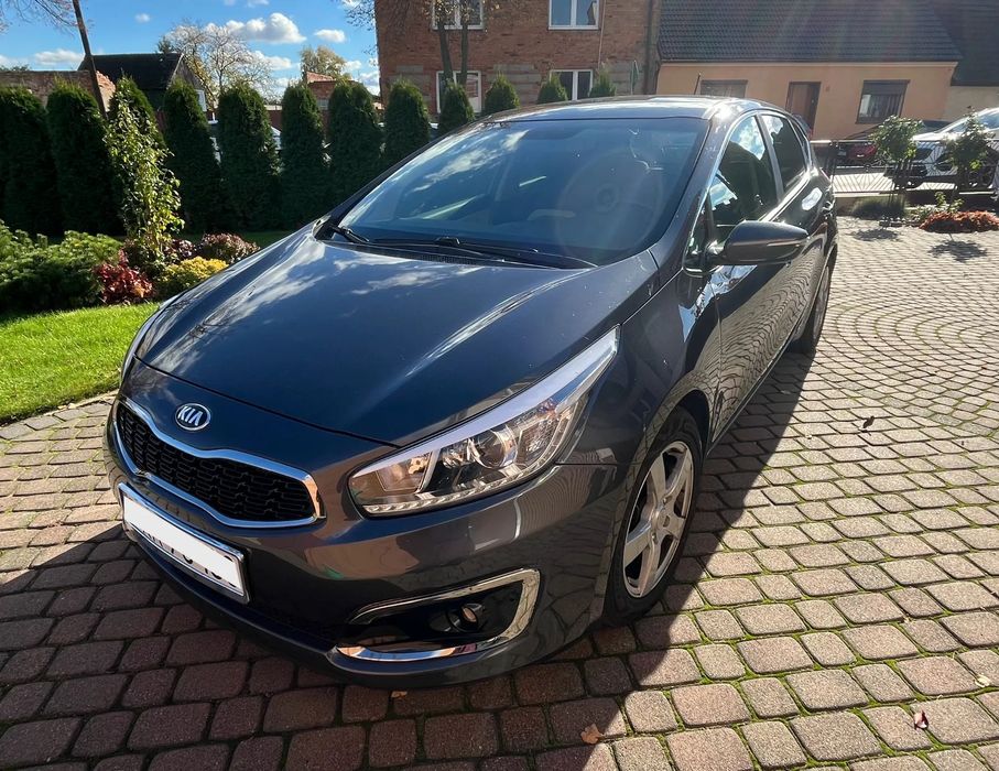 Kia Ceed 1.6 GDI, Niski przebieg