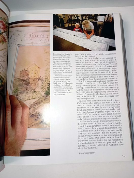 The Incredible Machine