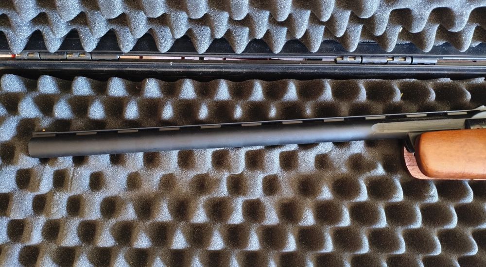 Carabina Gamo Máxima Express