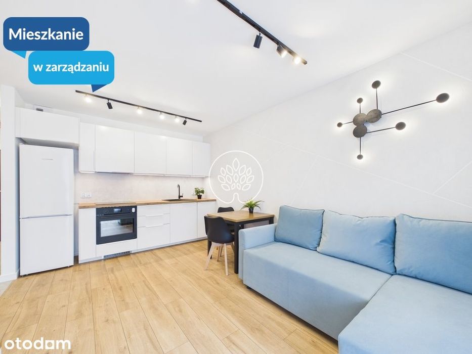 Dwupokojowy nowy apartament na wynajem os. Leśne.