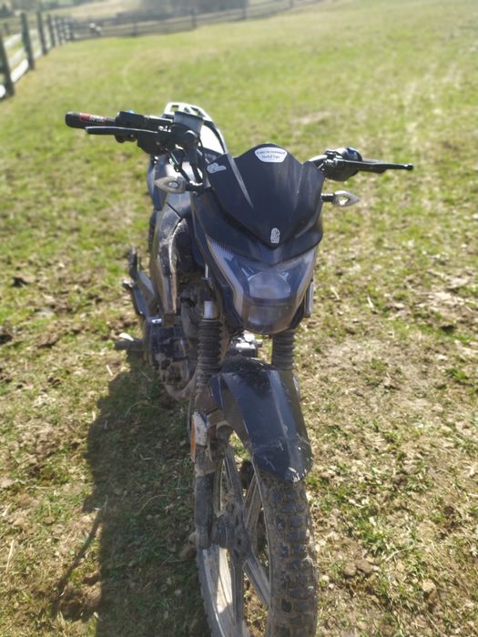 Мустанг фортуна 200