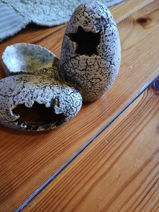 Akcesoria do akwarium