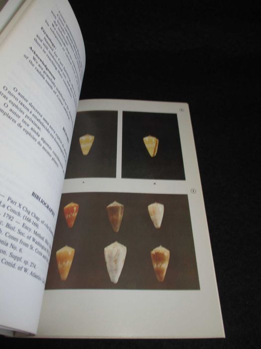 Livros Publicações Ocasionais da Sociedade Portuguesa de Malacologia