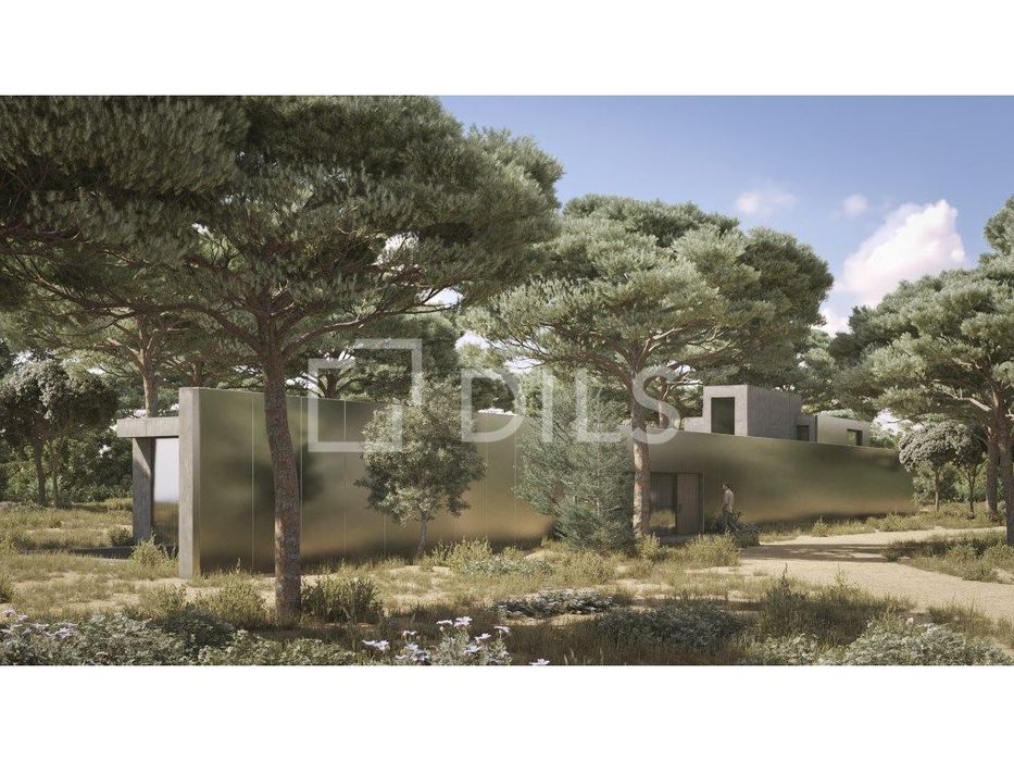 Terreno com projeto aprovado, Muda