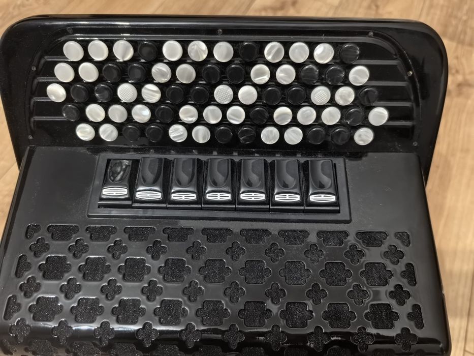 Akordeon Guzikowy Delicia Sonorex 19s Special 96 basów