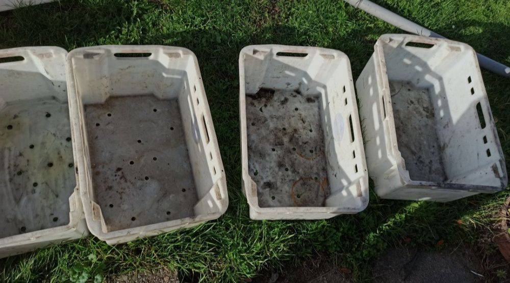 Pojemnik typ C Skrzynka Skrzynia Euro 60x40x28 30kg DĘBICA