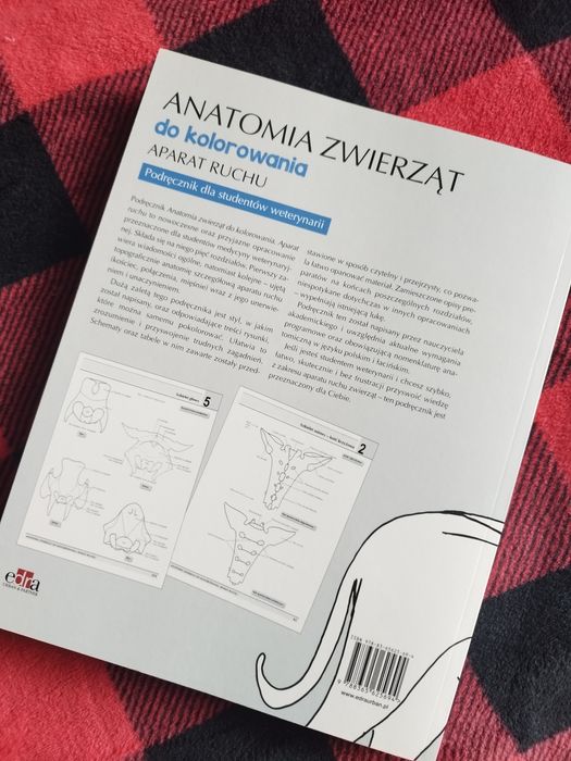 Anatomia zwierząt do kolorowania