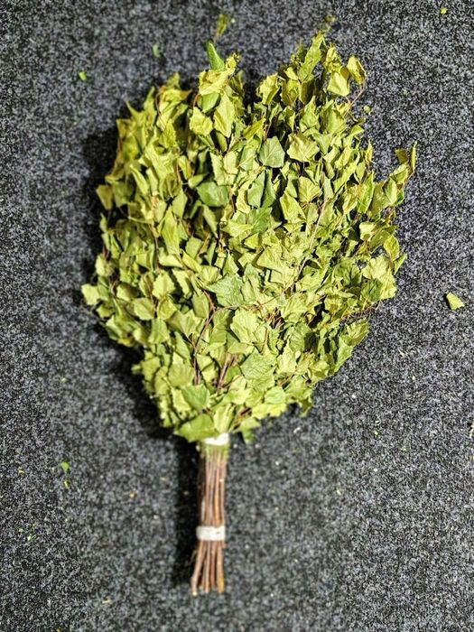 Віник банний. Заготівля 2025 р.