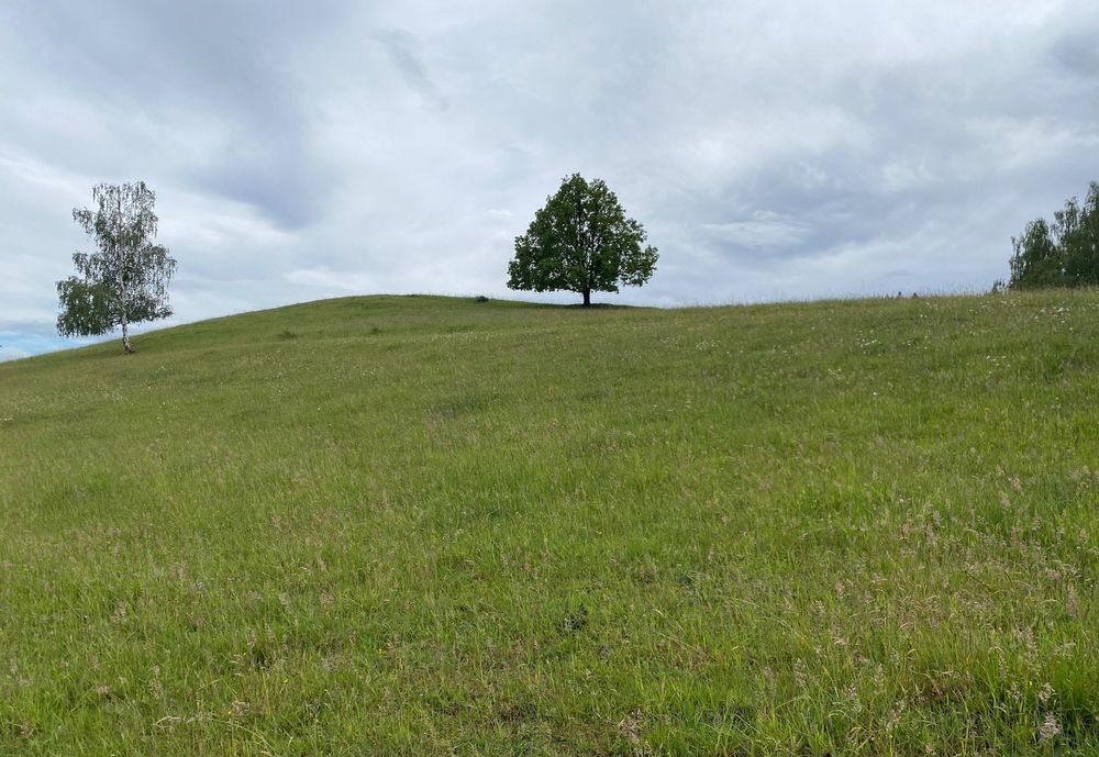 Działka budowlana z panoramicznym widokiem na GórySowie i Zamek Grodno