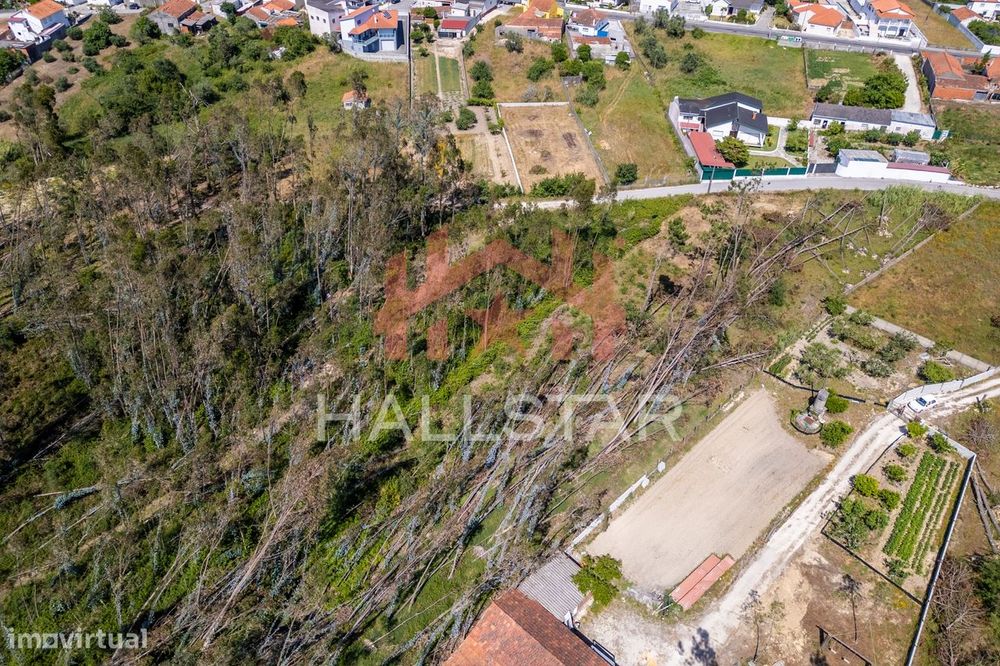 Terreno para Construção / Índice de 0.5 / Telheiro da Maceira