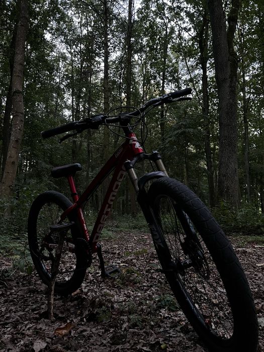 Dartmoor Streetfighter 2020 (stunt)