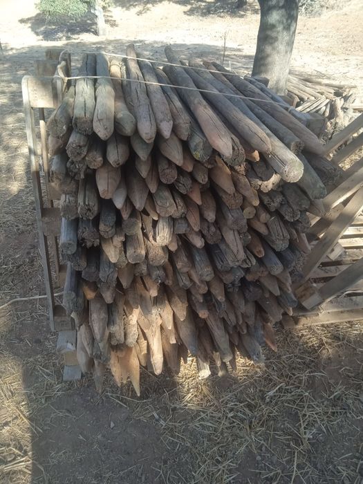 Postes de vedação tratados64409453659523124