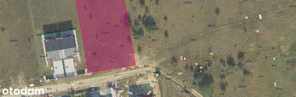 Działka budowlana w spokojnej okolicy 1228 m² - z WARUNKAMI ZABUDOWY - Widok 3