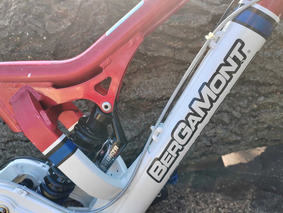 Bergamont Evolve Team DH