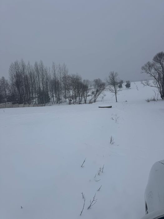 Działka 1790m2 Zalew Wilków (media P+W+K)