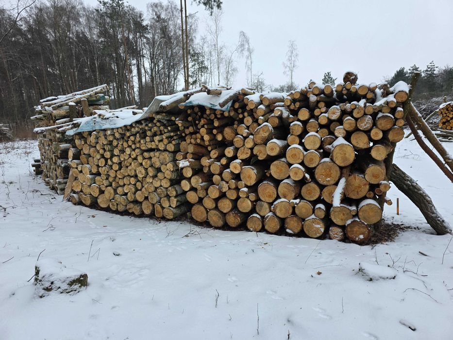 drewno opałowe i kominkowe sezonowane i świeże