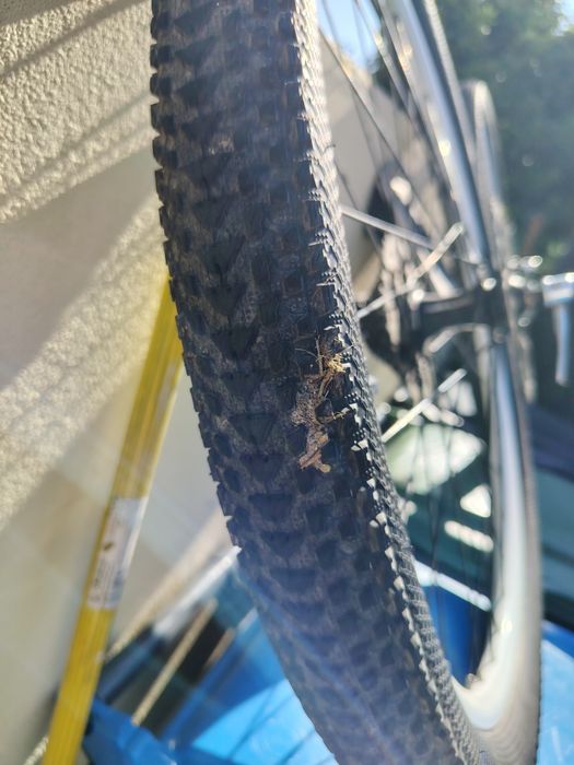 Rodas 26 BTT com pneus maxxis