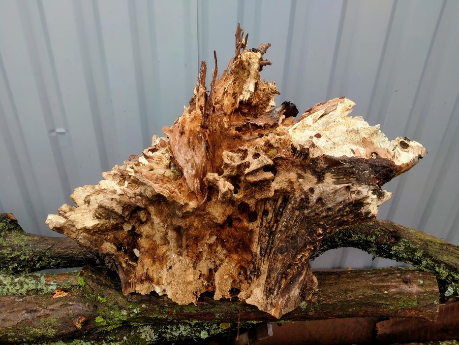 Заготовка в дерев -і акваріум