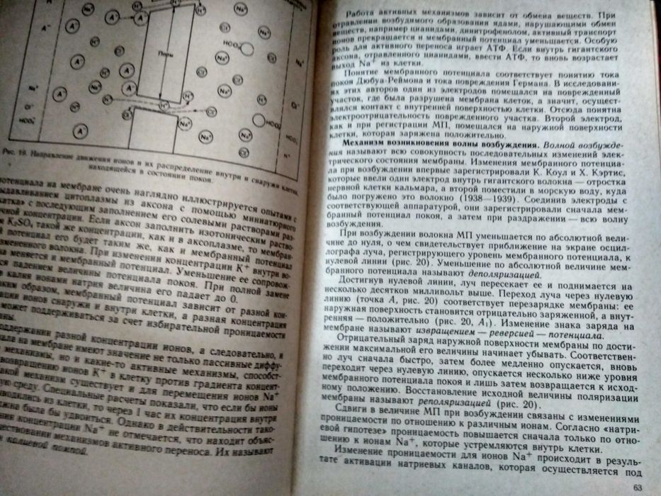 Анатомия и физиология детского организма Леонтьева Н. Маринова К.