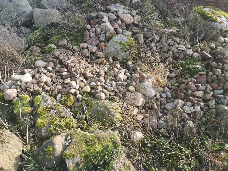 Kamień polny różnej wielkości