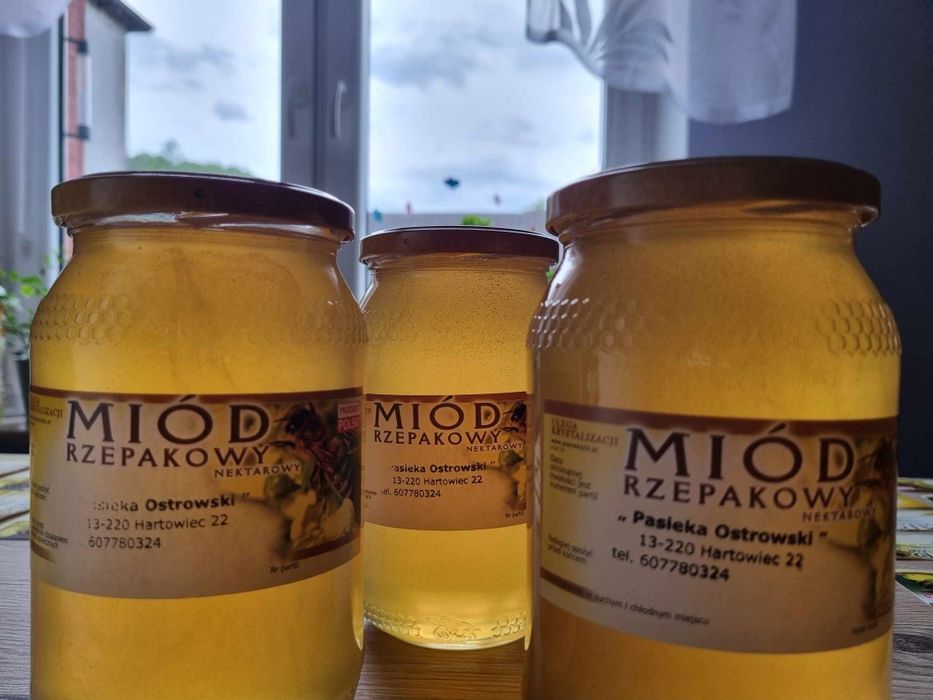 Miód rzepakowy z własnej pasieki
