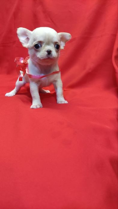 Красавчик мальчик и милашка девочка