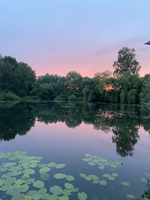 Земельна ділянка 6,5 га