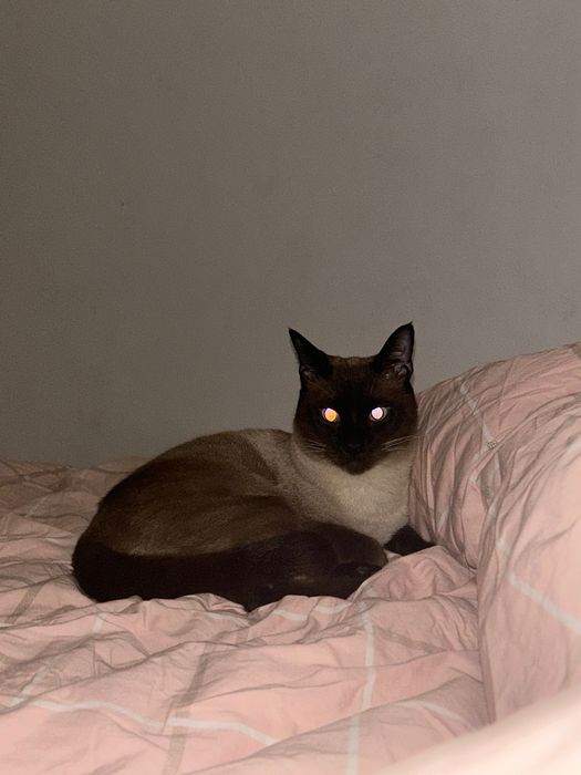 Leva me para casa!!!