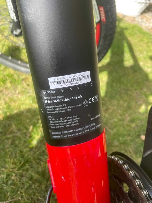 Rower Elektryczny ECOBIKE SX4 19'