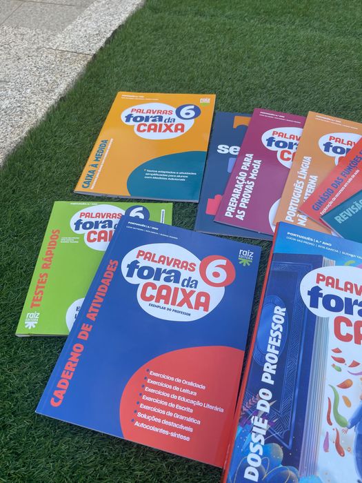 Livro palavras fora da caixa 6.º ano