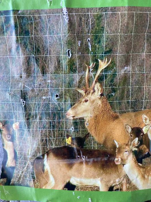 20 zł/mb - Ogrodzenie Twojego terenu — siatką leśną!