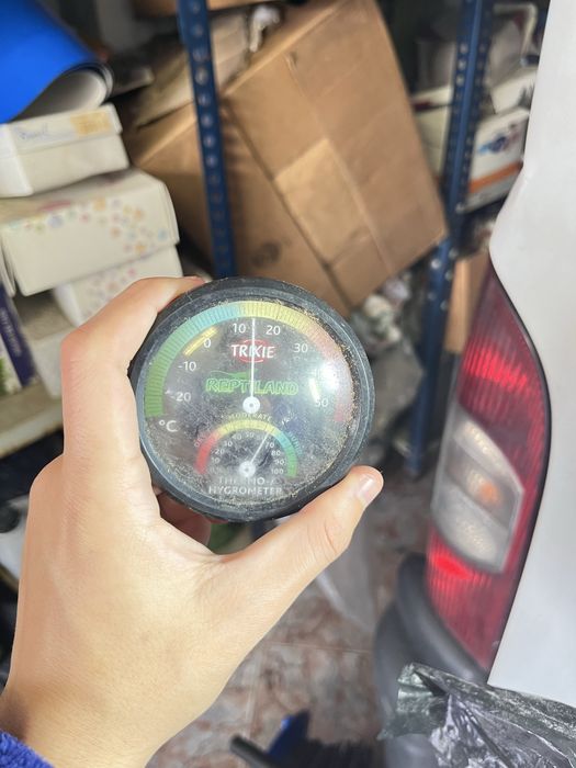 Terrario Grande +extras