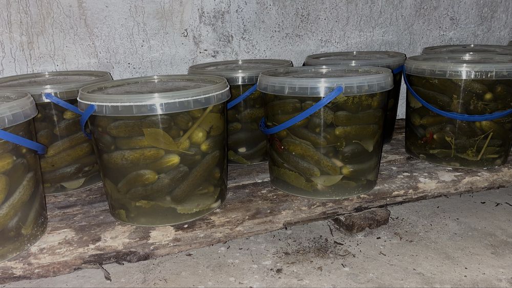 Соленые огурцы Днепр