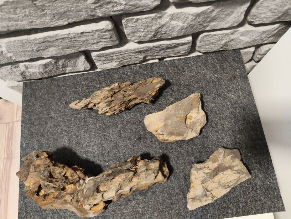 Ozdoby akwariowe drzewka, korzenie, skały