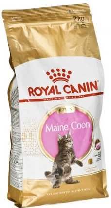 ROYAL CANIN Maine Coon Kitten 10kg