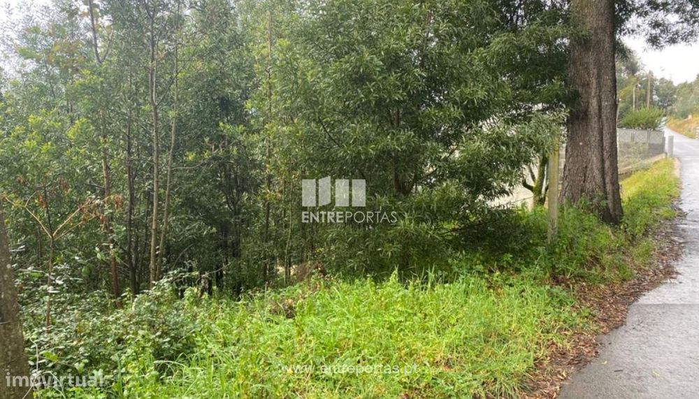 Venda Terreno, São Lourenço do Douro, Marco de Canaveses