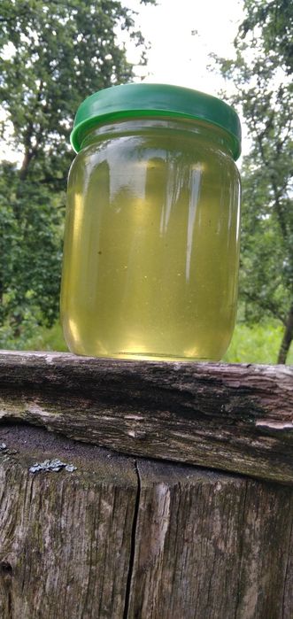 Мед травневий, акацієвий 2025 та липовий 2024 рік