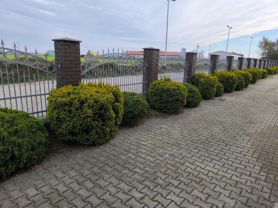 Przęsła stalowe płotu ocynkowane ogniowo