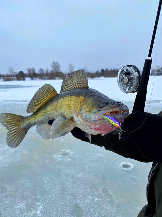 Удочка зимняя Судаковая. Удочка блеснилка зимняя для ловли судака