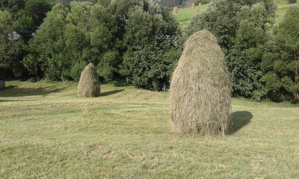 Продам будинок в Міжгірському районі