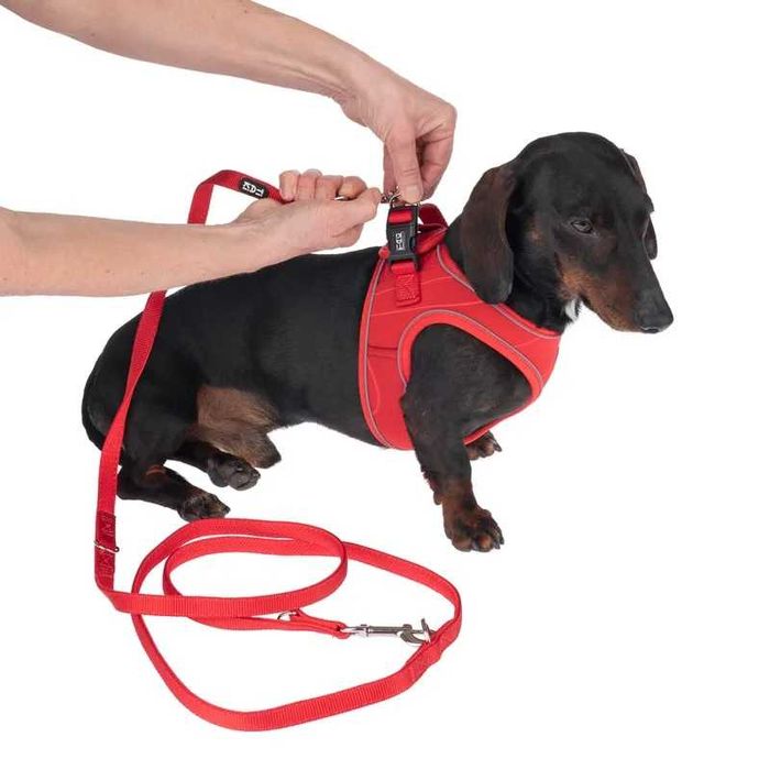 Szelki dla  psa TIAKI Harness Wave - rozmiar S