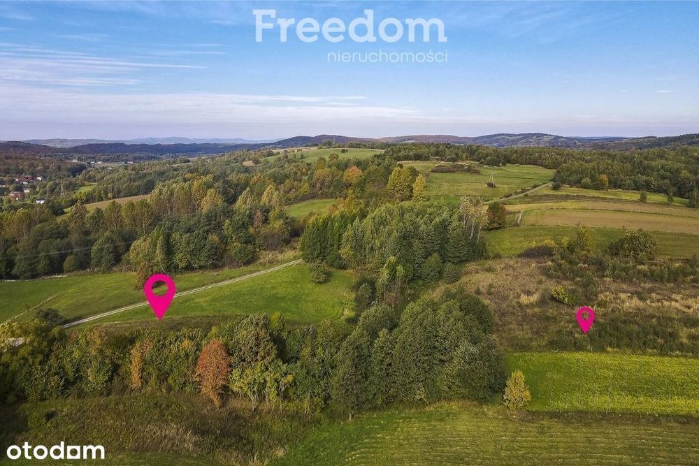 Działka budowlana Grabówka 81