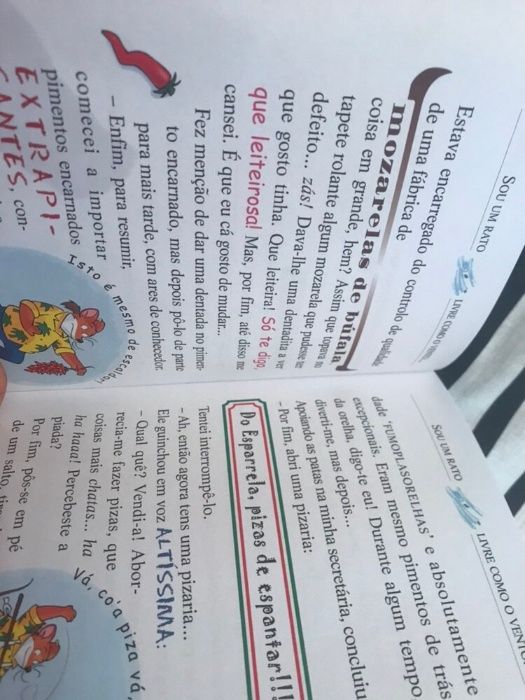 Livro do Geronimo Stilton - NOVO