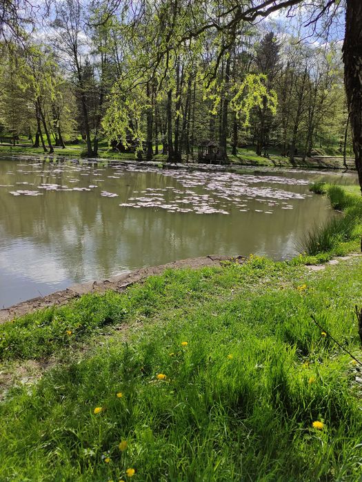 Відпочинок (Подорожі)  Карпати, Закарпаття (термальні води, замки, дег