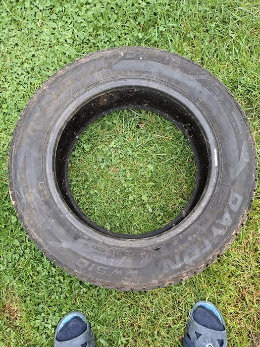 Opony Zimowe Dayton 205/60R16