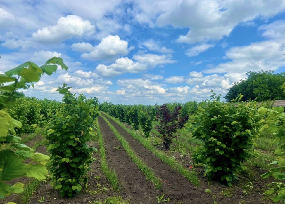 Будинок з свіжим ремонтом 8 км. від м. Здолбунів