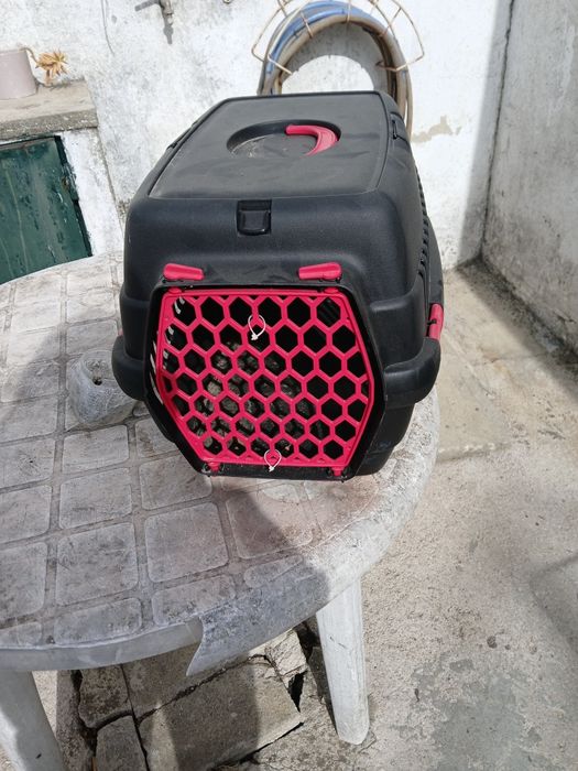 Transportadora de gato